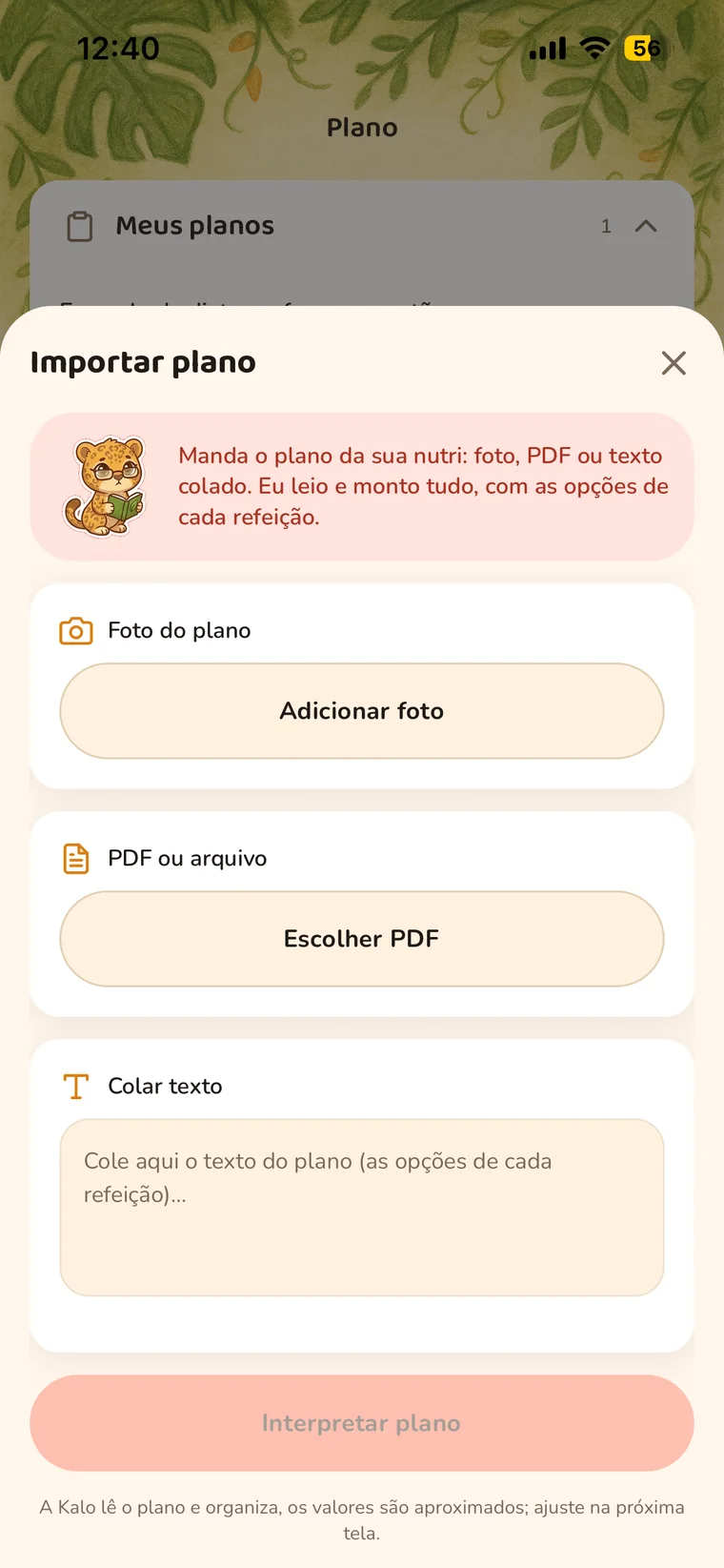 Tela de importação do plano da nutricionista no OnKalo